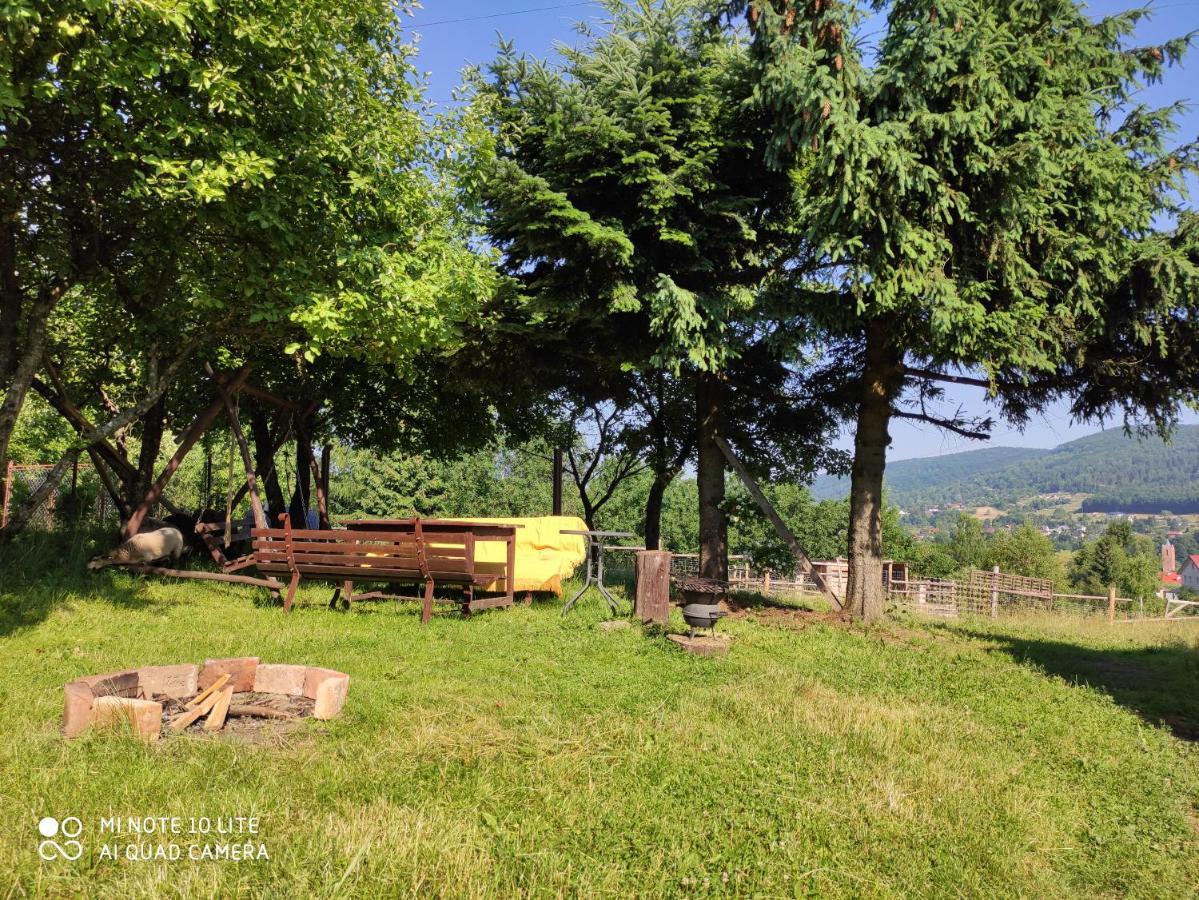Gromadzyniowka-Pod Czarnym Kogutem Appartamento Ustrzyki Dolne Esterno foto